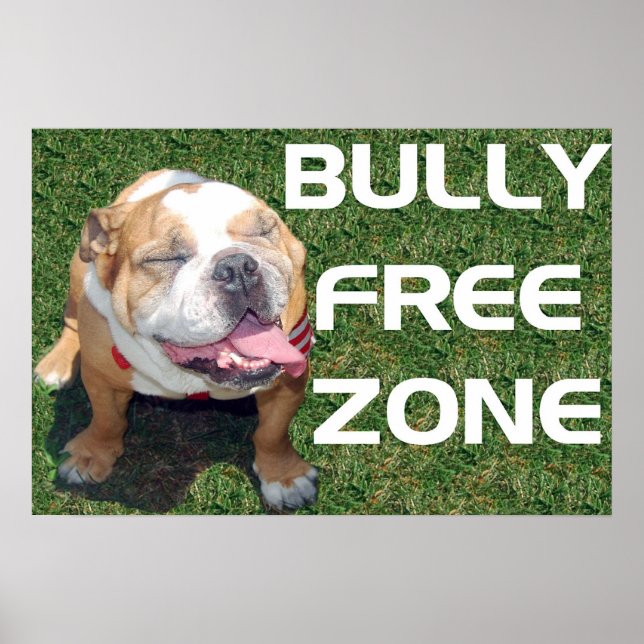 BULLY FREE ZONE 52" x 35" poster (Front)