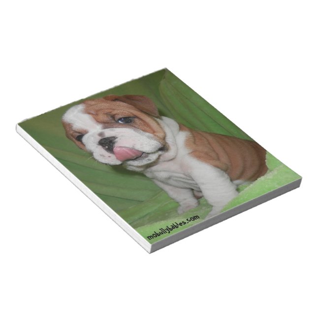 Bully Love Bulldog Notepad (Angled)