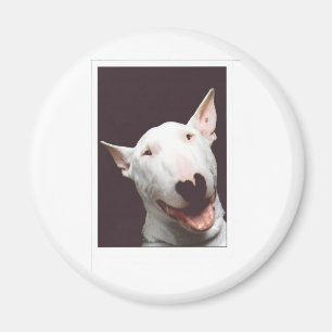 bully smile magnet