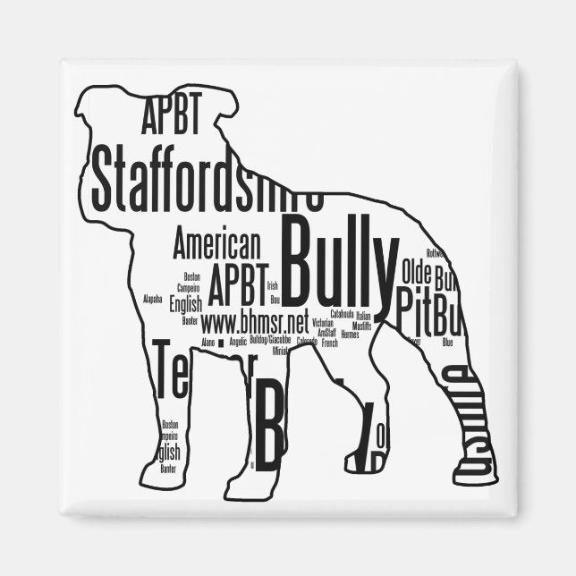 Bully Words Magnet (Front)