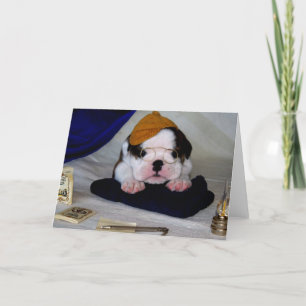 BullyBreeze - Pania - Study Time - Greeting Card