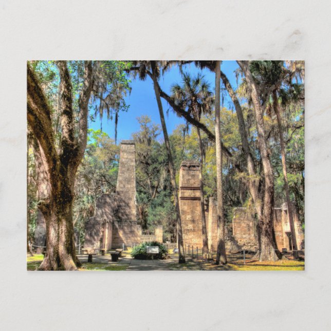 Bulow Plantation, Florida Postcard (Front)