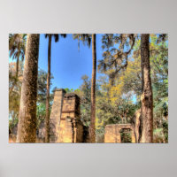 Bulow Plantation, Florida