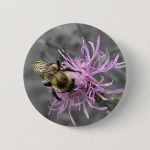 Bumble Bee 6 Cm Round Badge