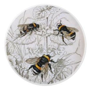 Bumble Bee Botanical  Ceramic Knob