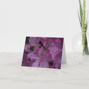 Bumble Bee Busy on a Rhododendron Thank You Card