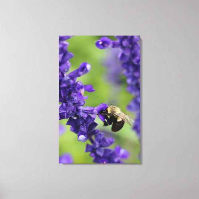 Bumble Bee Canvas Print (Front)