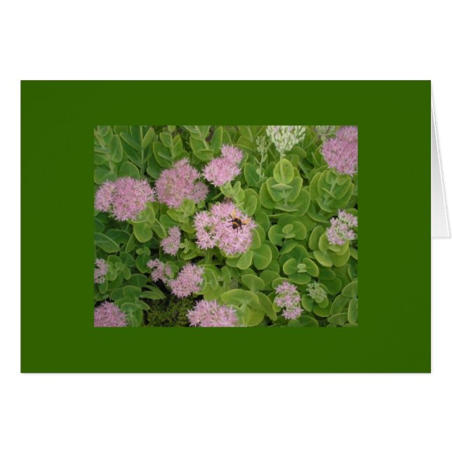 bumble bee card (Front Horizontal)