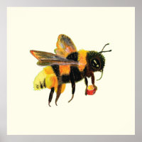 Bumble Bee carrying pollen  