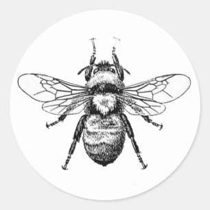 Bumble Bee Classic Round Sticker