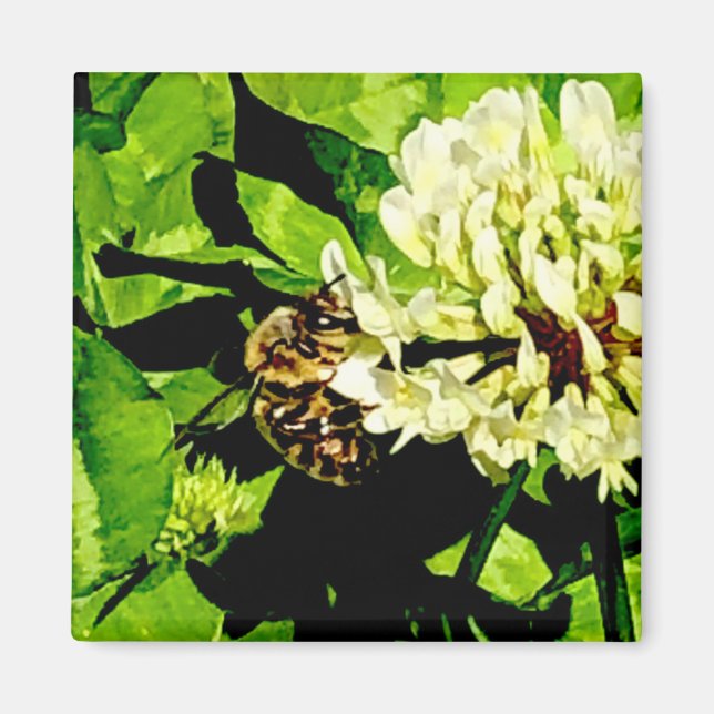 Bumble Bee Magnet (Front)