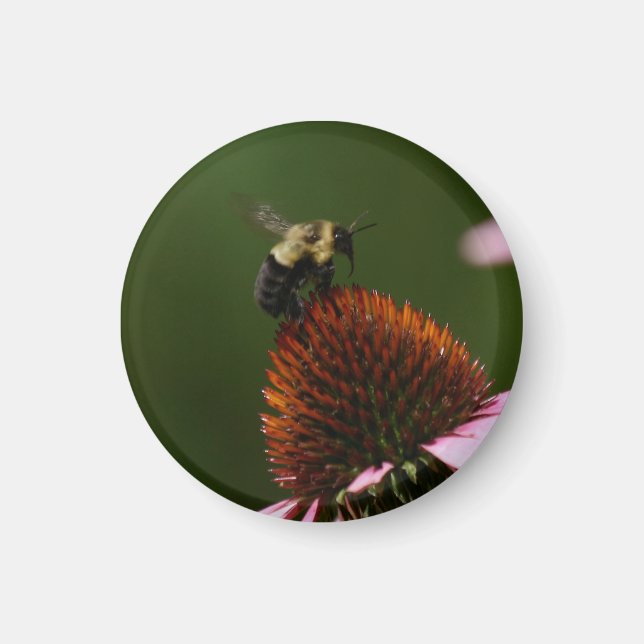 Bumble Bee  Magnet (Front)