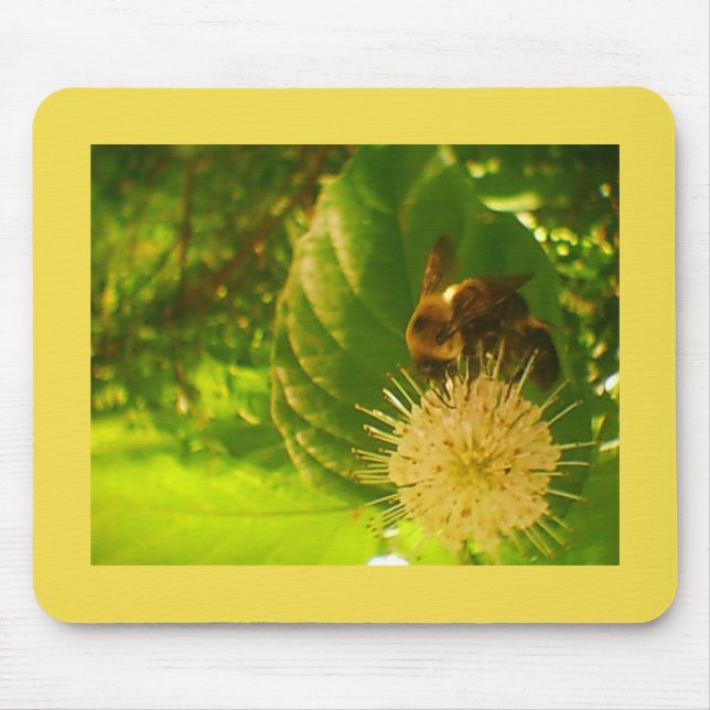 Bumble Bee Mouse Mat (Front)