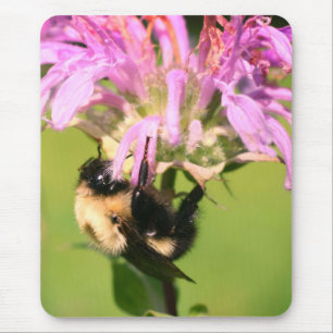 Bumble Bee On Bee Balm Flower Mouse Mat