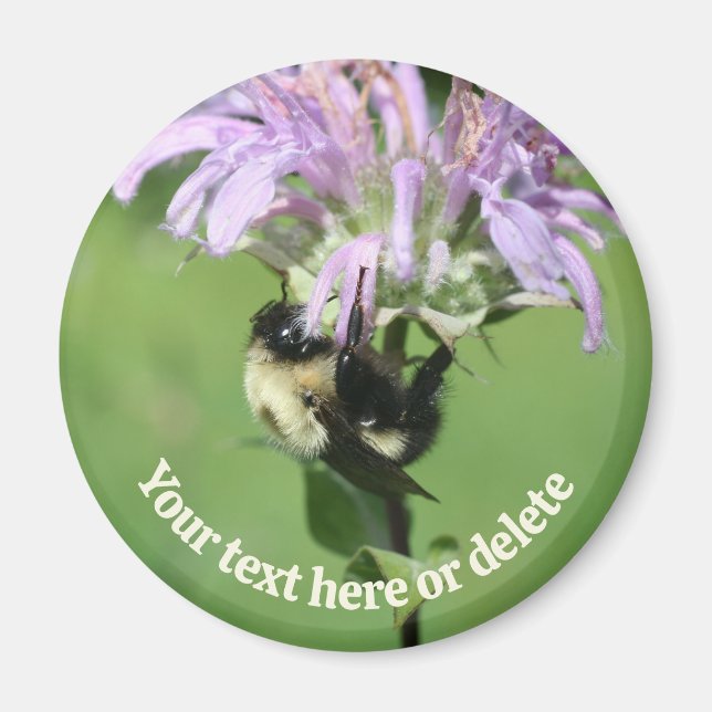 Bumble Bee On Bee Balm Flower Personalized Magnet (Front)