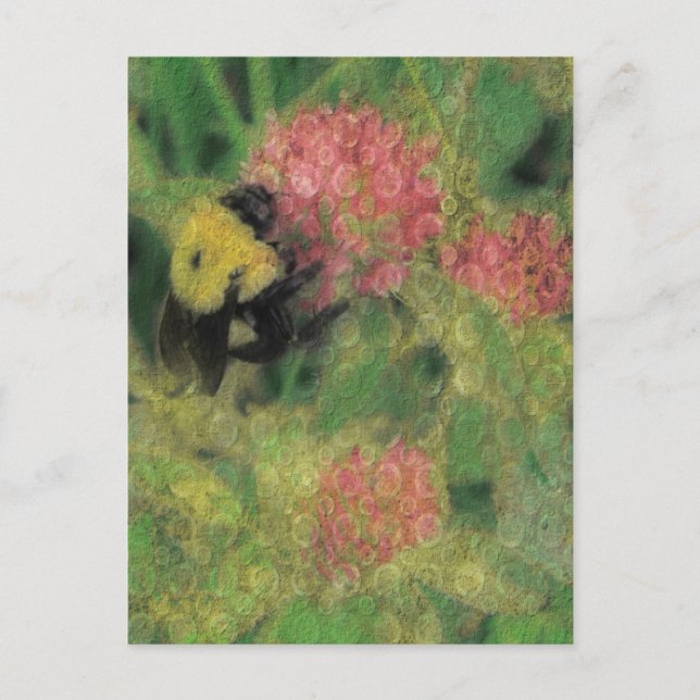 Bumble Bee on Clover Postcard (Front)