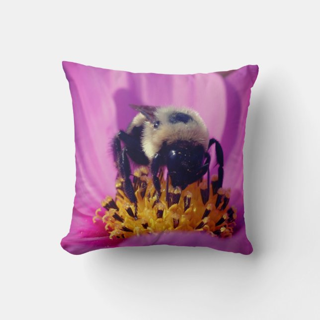 Bumble Bee On Cosmos Flower   Cushion (Front)
