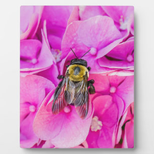 Bumble Bee On Hydrangea Plaque