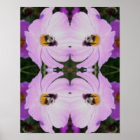 Bumble Bee On Pink Cosmos Flower Abstract