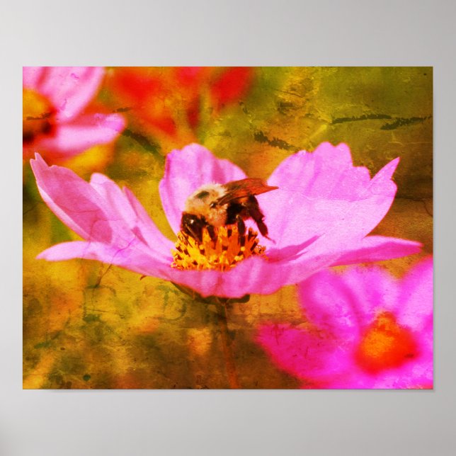 Bumble Bee On Pink Cosmos Flower Abstract Poster (Front)