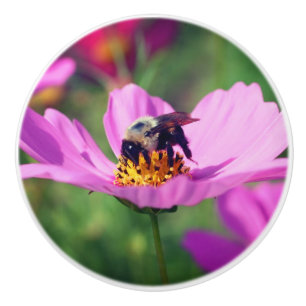 Bumble Bee On Pink Cosmos Flower  Ceramic Knob