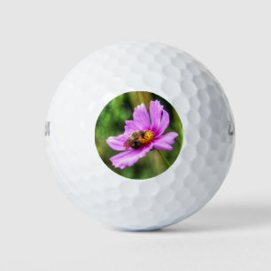 Bumble Bee on Pink Cosmos Golf Balls