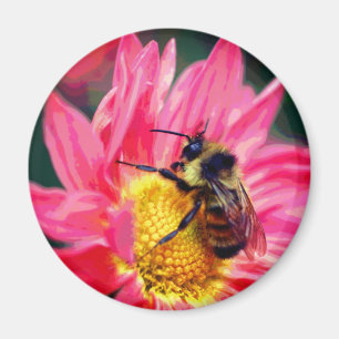 Bumble Bee On Pink Daisy Flower Art  Magnet