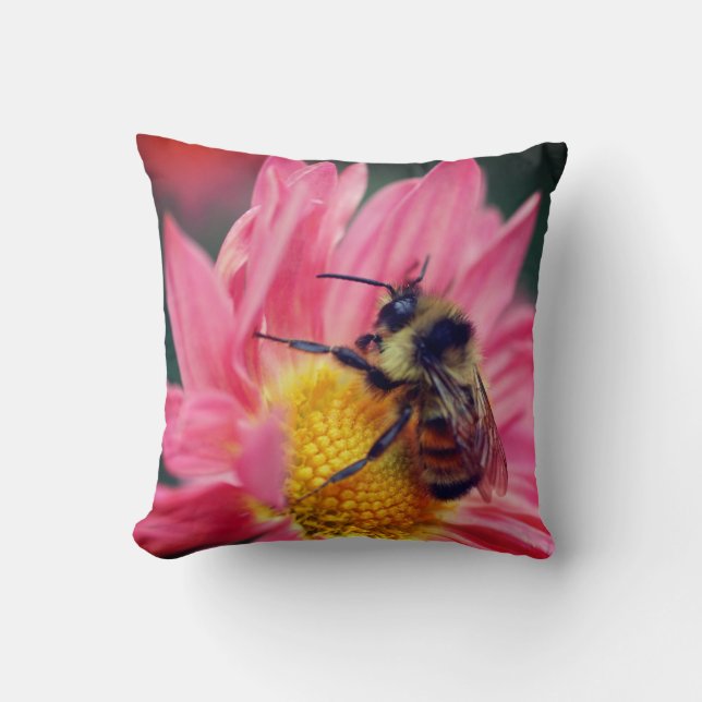 Bumble Bee On Pink Daisy Flower Close Up  Cushion (Front)