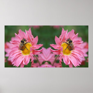 Bumble Bee On Pink Daisy Flower Mirror Abstract Poster