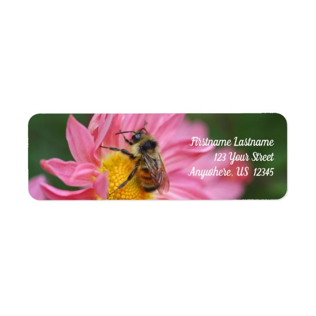 Bumble Bee On Pink Daisy Flower Nature Address (Front)