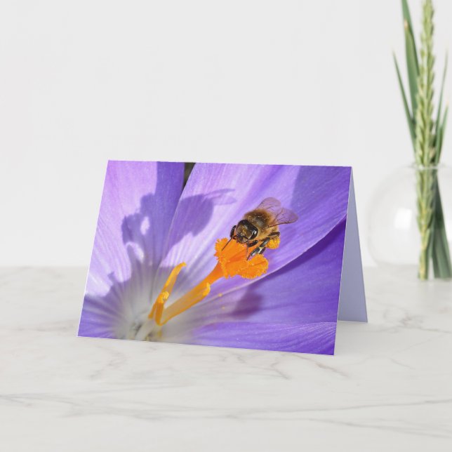 Bumble Bee On Purple Flower Blank Photo Card (Front)