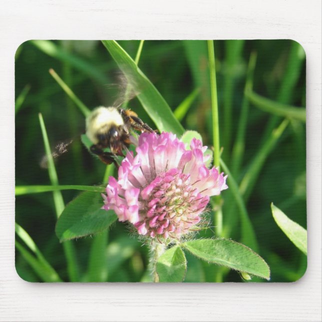 Bumble Bee on Red Clover Mouse Mat (Front)