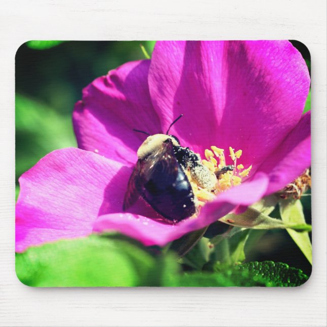 Bumble Bee On Rose Flower  Mouse Mat (Front)