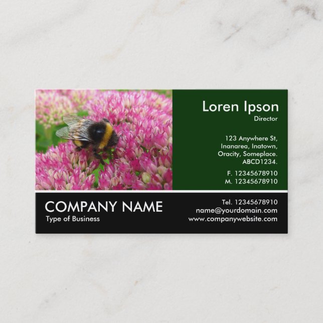 Bumble Bee on Sedum Business Card (Front)