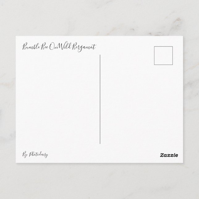Bumble Bee On Wild Bergamot Postcard (Back)