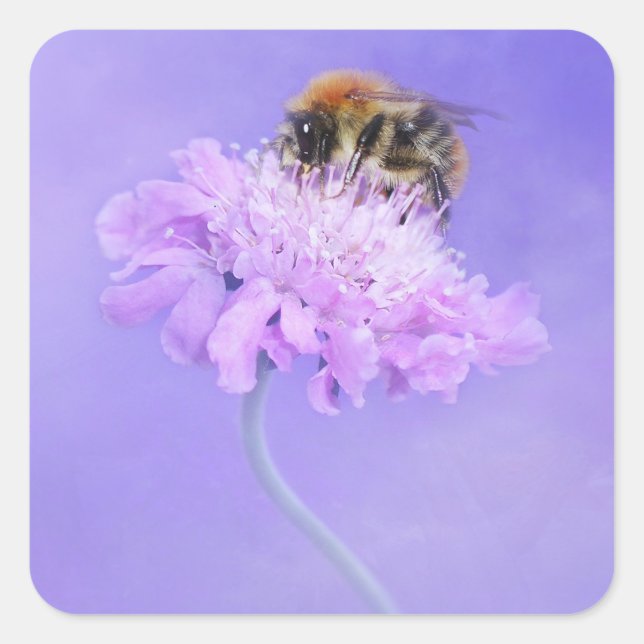 Bumble Bee Perched on a Pink Flower Square Sticker (Front)