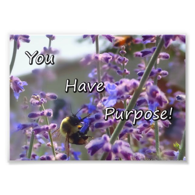 Bumble Bee Photo- You Have Purpose Photo Print (Front)