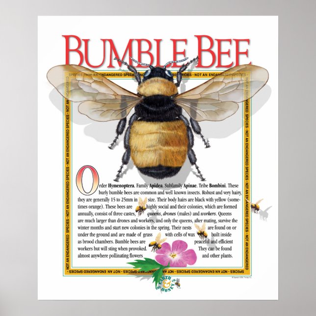 Bumble Bee Poster (Front)