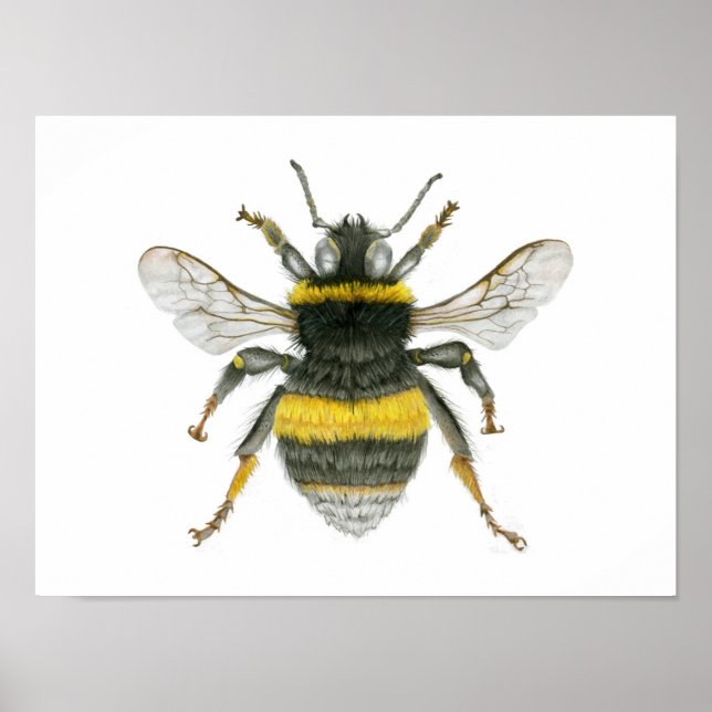 Bumble Bee Poster Print (Front)
