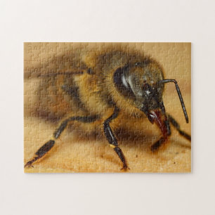 Bumble Bee Puzzle Design