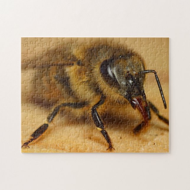 Bumble Bee Puzzle Design (Horizontal)