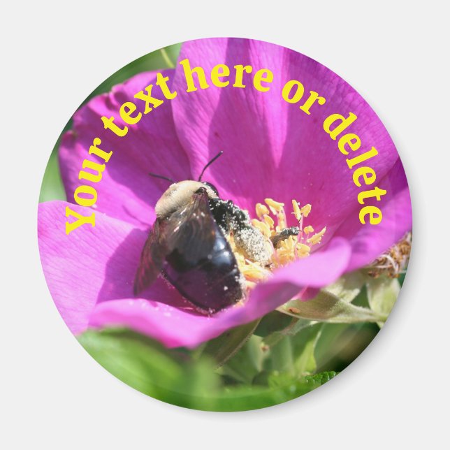 Bumble Bee Rose Flower Personalized Nature Magnet (Front)