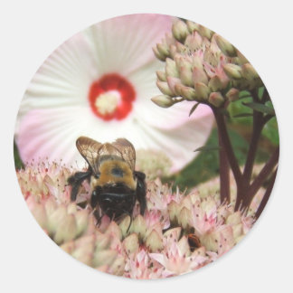 Bumble Bee ~ sticker