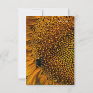 Bumble Bee & Sunflower Card