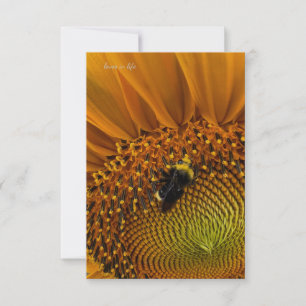 Bumble Bee & Sunflower Card