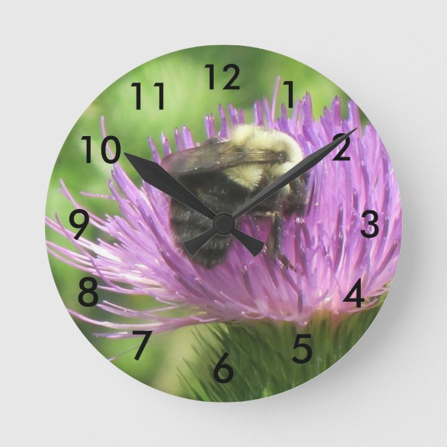 Bumble Bee Wall Clock (Front)