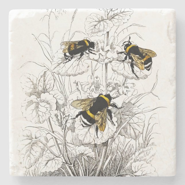 Bumble Bees on Flowers Stone Coaster (Front)