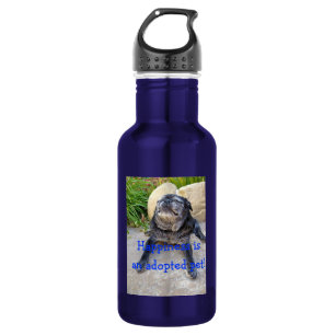Bumble Water Bottle: Happiness is... 532 Ml Water Bottle