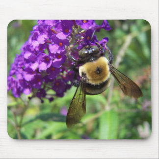 BumbleBee01 Mouse Mat