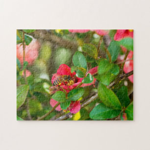 Bumblebee And Azalea Jigsaw Puzzle